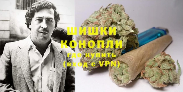 гашик Надым