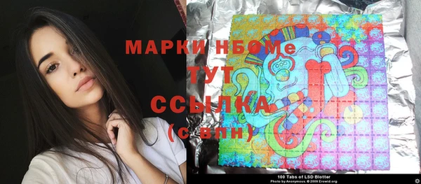 гашик Надым