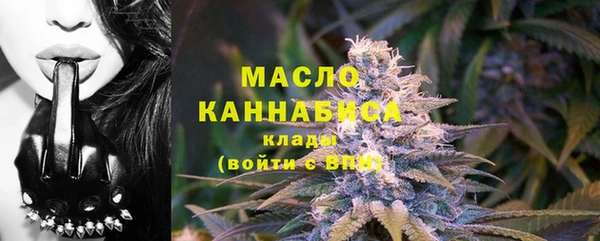 гашик Надым