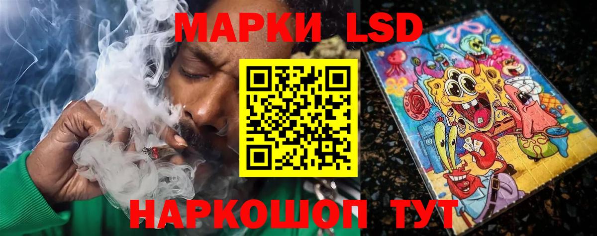 МЕФ Севастополь