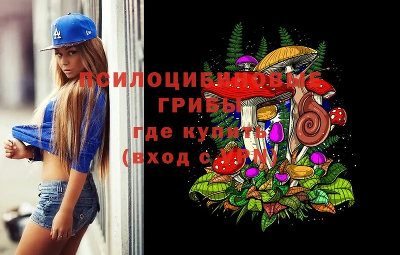 Псилоцибиновые грибы Psilocybe  где можно купить   Севастополь 