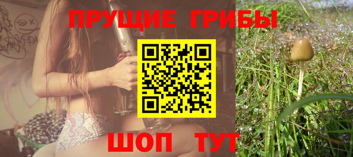 Псилоцибиновые грибы ЛСД Севастополь