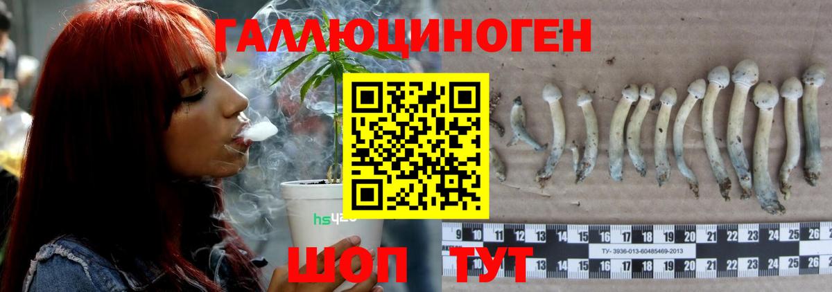 Севастополь  Псилоцибиновые грибы мицелий  Вход с VPN 